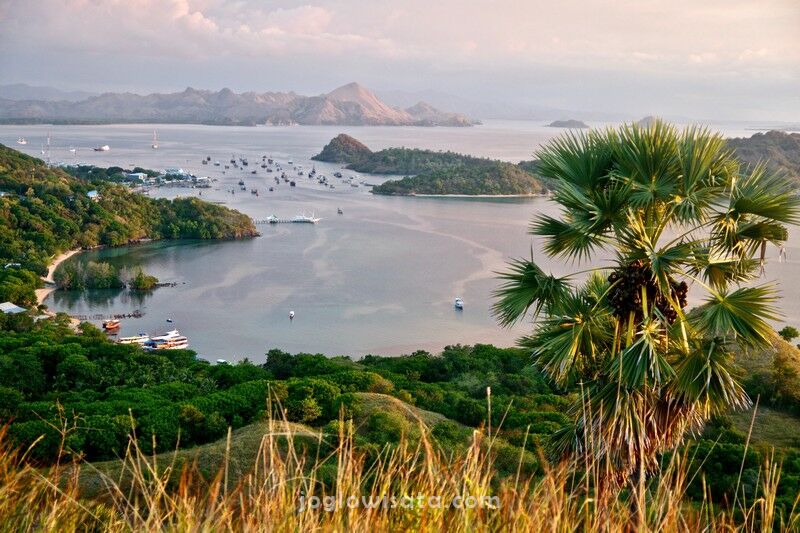 Paket Wisata Komodo Wae Rebo 6 Hari 5 Malam Joglo Wisata