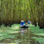 Sungai Mekong, Vietnam