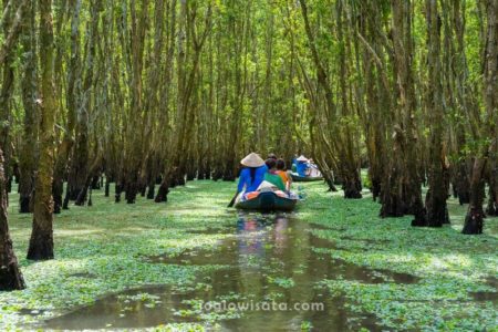 Sungai Mekong, Vietnam