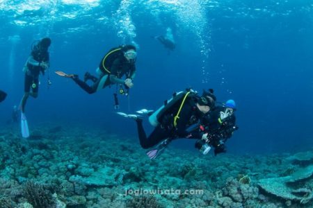 Diving di Wakatobi