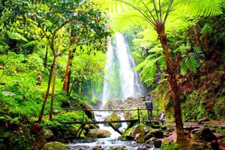 air terjun grojogan sewu