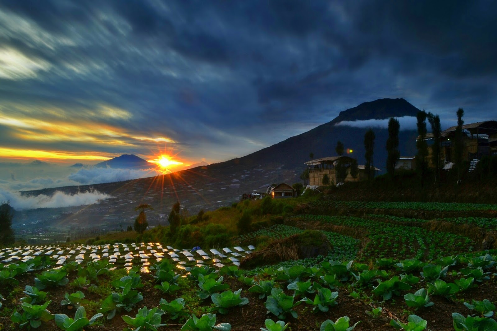 Sejarah Wisata Alam Posong