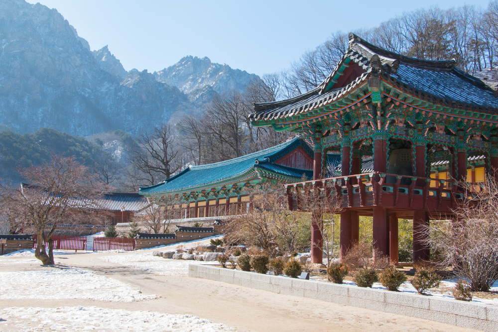 Paket Wisata Korea Selatan 5 Hari 3 Malam | Joglo Wisata