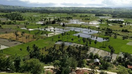 Bukit Persaudaraan Sumba