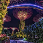 Garden By The Bay Singapore