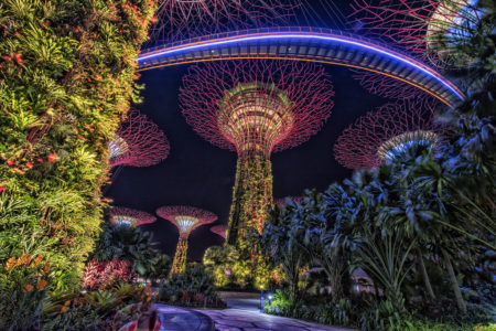 Garden By The Bay Singapore