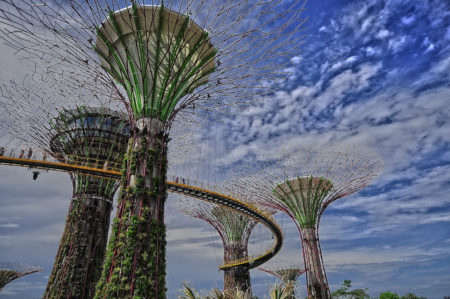 Garden By The Bay Singapore