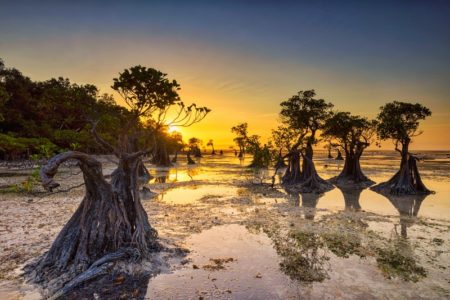 Pantai Walakiri Sumba