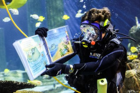 Sea Life Legoland Malaysia