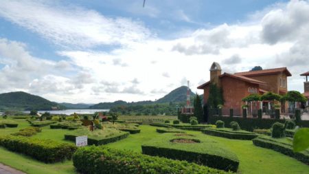 Silver Lake Grape Farm Thailand