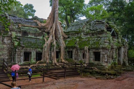 Ta Prohm Temple Kamboja
