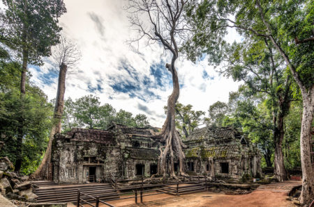 Ta Prohm Temple Kamboja