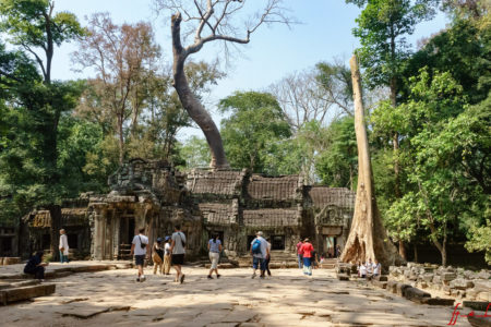 Ta Prohm Temple Kamboja