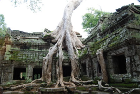 Ta Prohm Temple Kamboja