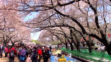 Ueno Park Jepang