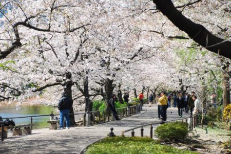 Ueno Park Jepang