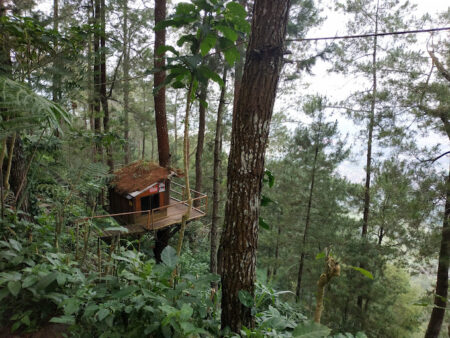 Omah Kayu Batu_joglo wisata