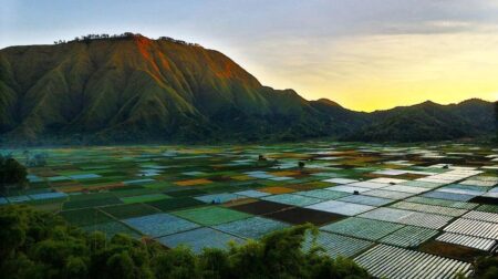 bukit selong, Wisata Di Lombok_joglo wisata