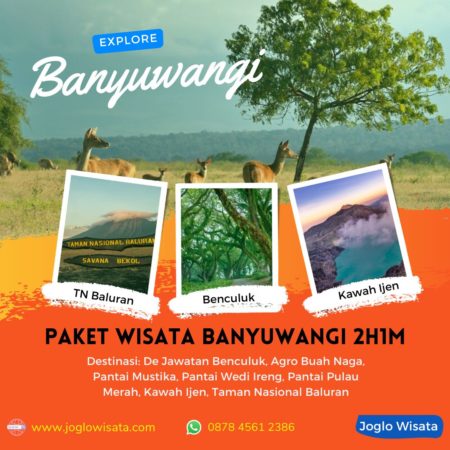 Paket Wisata Banyuwangi 2 Hari 1 Malam