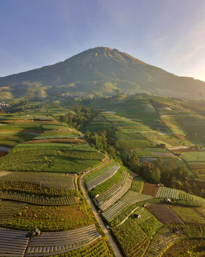 Negeri Sayur Sukomakmur