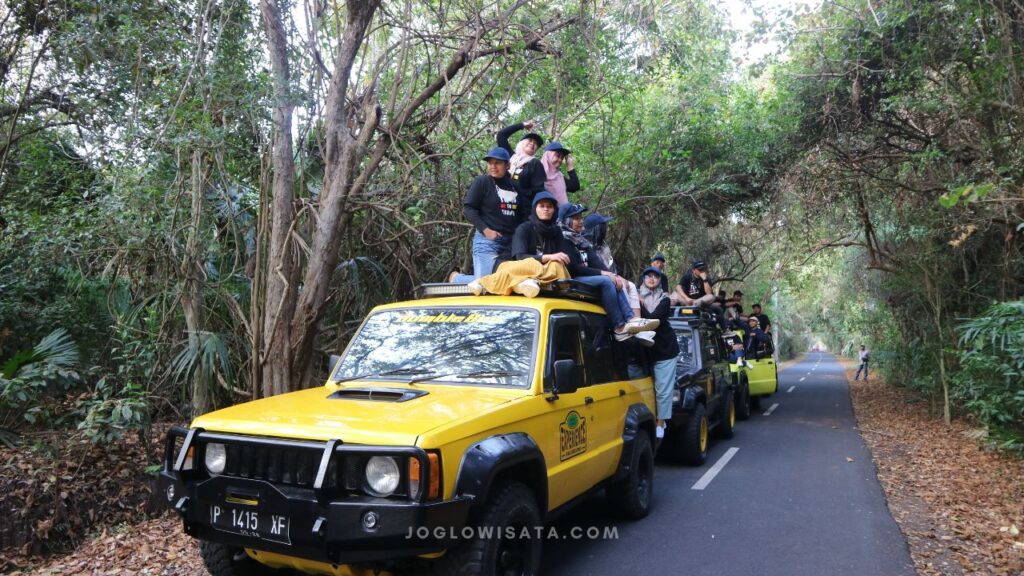 hutan evergreen baluran