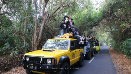 hutan evergreen baluran
