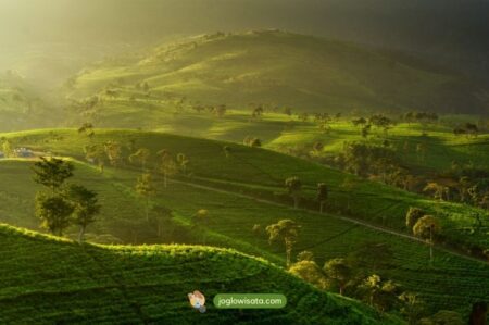 Kemuning Sky Hills