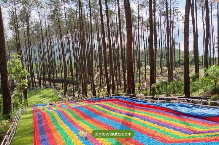 Wisata Baru di Jogja 2024 yang Wajib Kamu Kunjungi