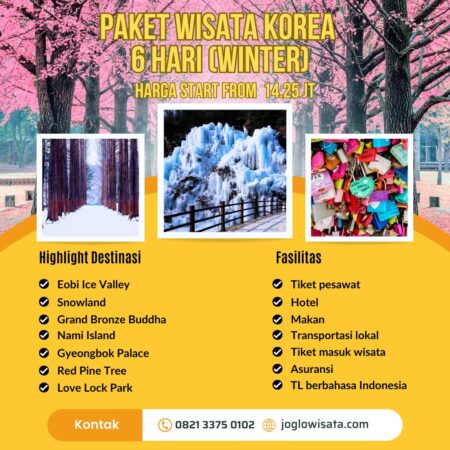 Paket Wisata Korea 6 Hari (Winter)