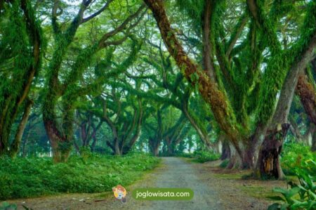 Daftar Wisata Banyuwangi Paling Hits