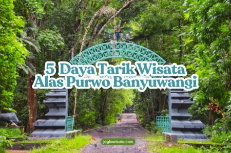 Mistis tapi Eksotis! Ini 5 Daya Tarik Alas Purwo