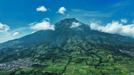Daya Tarik Kebun Teh Panama, pemandangan kebun teh panama wonosobo di kaki gunung