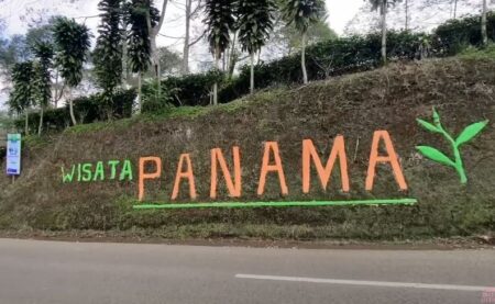 Lokasi dan Cara Menuju Kebun Teh Panama