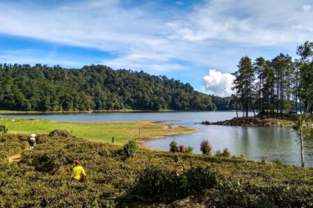 Situ Patenggang Ciwidey yang tenang dikelilingi kebun teh hijau di Bandung Selatan