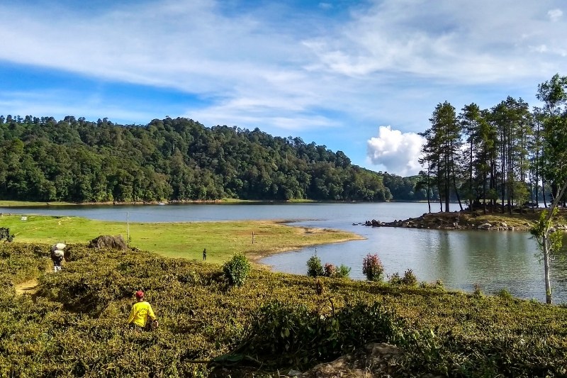 Situ Patenggang Ciwidey yang tenang dikelilingi kebun teh hijau di Bandung Selatan