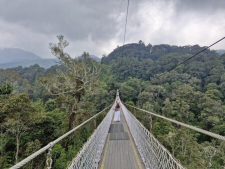 Pemandangan Rengganis Suspension Bridge di atas lembah hijau kawasan Kawah Rengganis Ciwidey