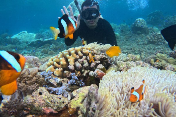 Bangsring Underwater Banyuwangi