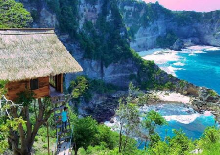 Daya Tarik Utama Rumah Pohon Nusa Penida