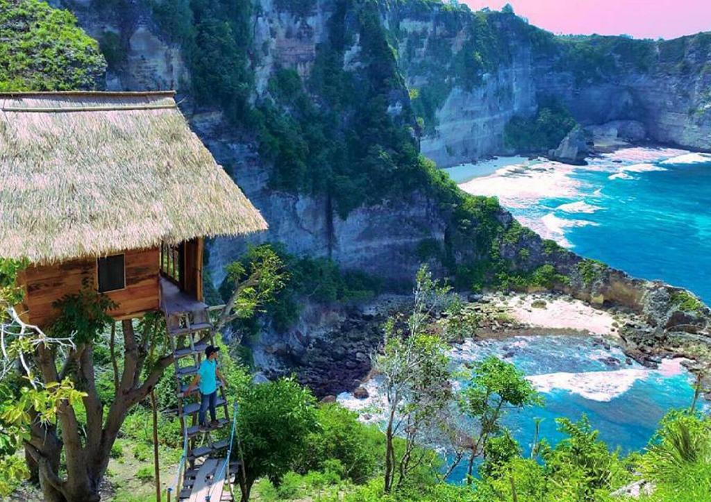 Daya Tarik Utama Rumah Pohon Nusa Penida