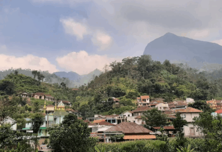 Desa Wisata Tempur