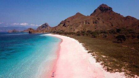 bukit di pink beach