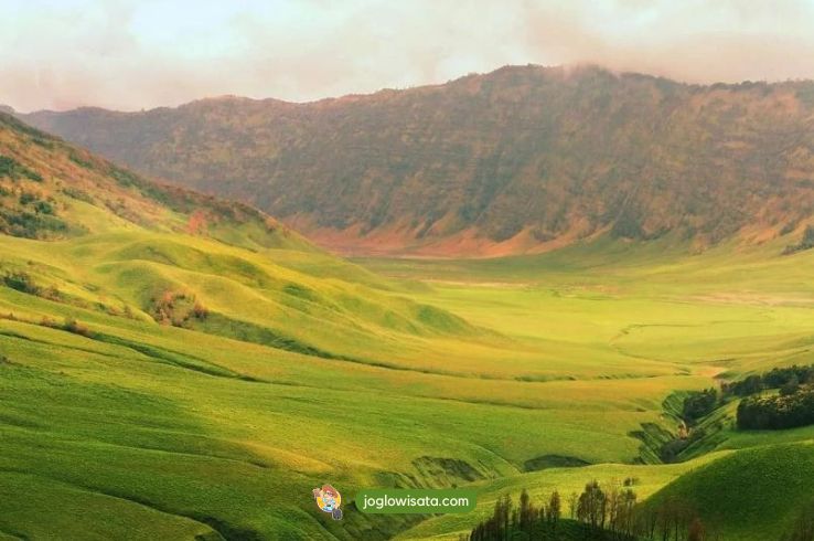 Padang Savana Bromo Sebagai Destinasi Liburan Terbaik