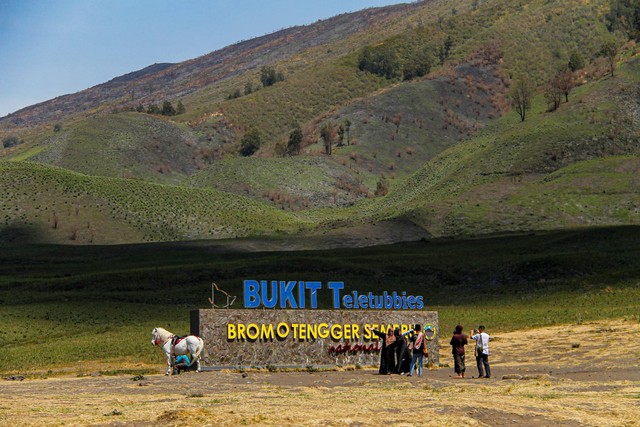 bukit teletubbies bromo