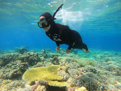 snorkeling di pulau tabuhan