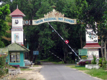 taman nasional way kambas lampung