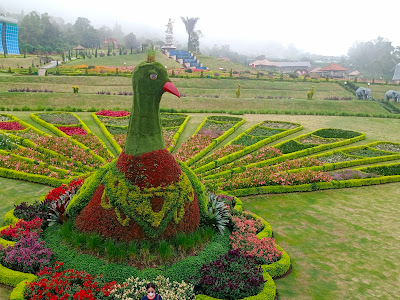 The Blooms Garden