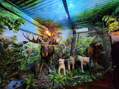 Rahmat International Wildlife Museum & Gallery