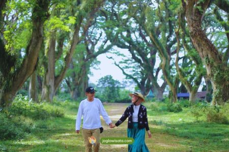 Tips Cerdas Wisata ke Banyuwangi Anti Boros