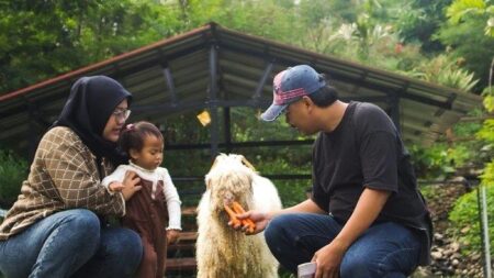 Wisata Bukit Domba Bogor