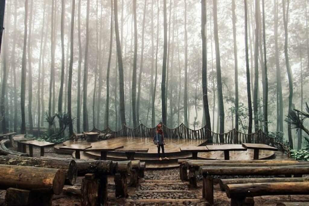 hutan pinus mangunan